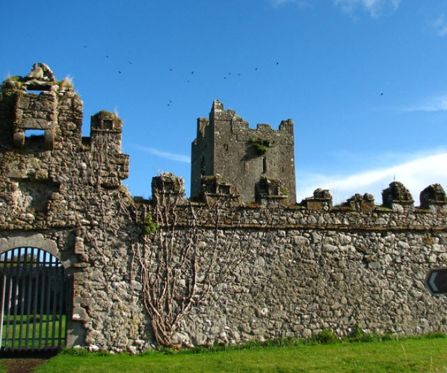 Clonony Castle, Clonony, Ireland, Ireland